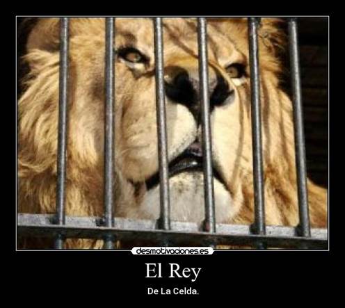 http://img.desmotivaciones.es/201206/729146_fury_in_the_jail.jpg