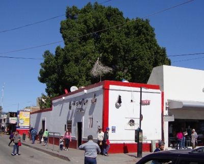 Yucateco y Cantina.